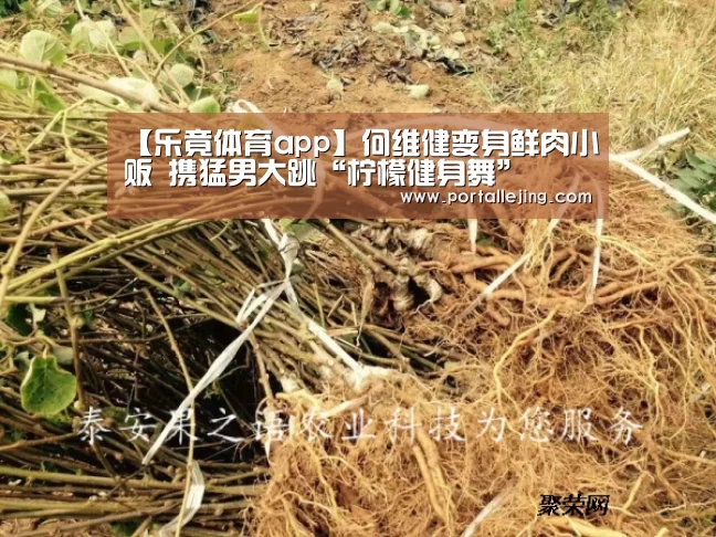 【乐竟体育app】何维健变身鲜肉小贩 携猛男大跳“柠檬健身舞”(图1) 乐竟体育app