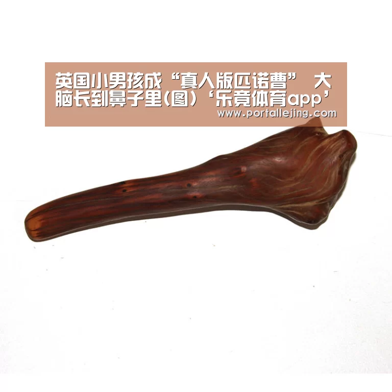 乐竟体育app