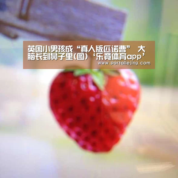 乐竟体育平台