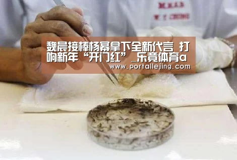 乐竟体育app