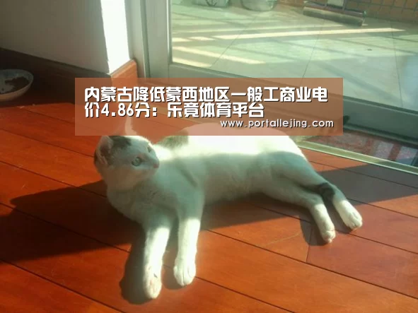 乐竟体育官网