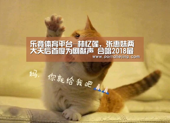 乐竟体育官网