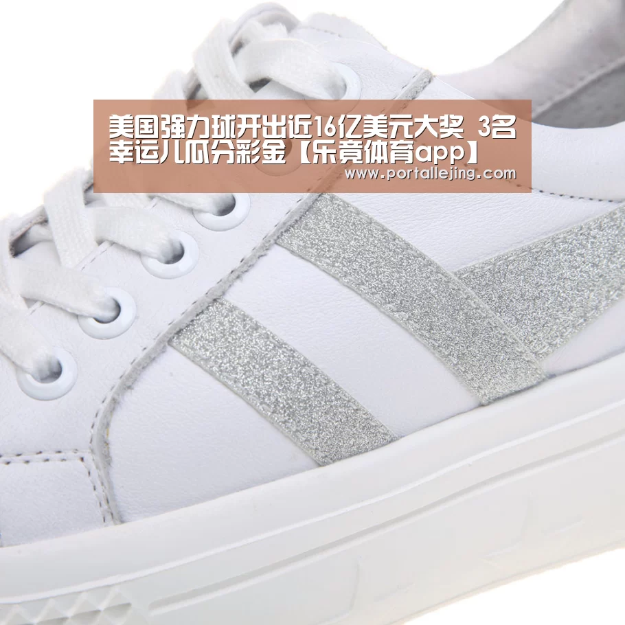 乐竟体育赛事