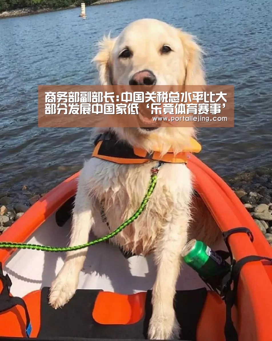 乐竟体育官网